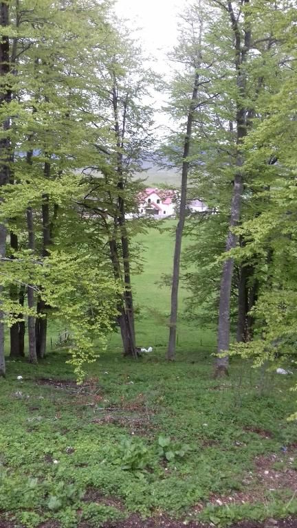 Апартаменты Dobre Vode 2 Жабляк-67